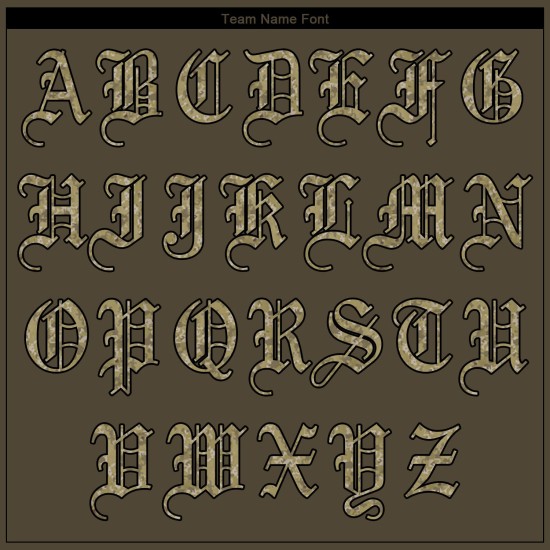 Service Olive personnalisé pour maillot de baseball authentique Salute Camo-Black